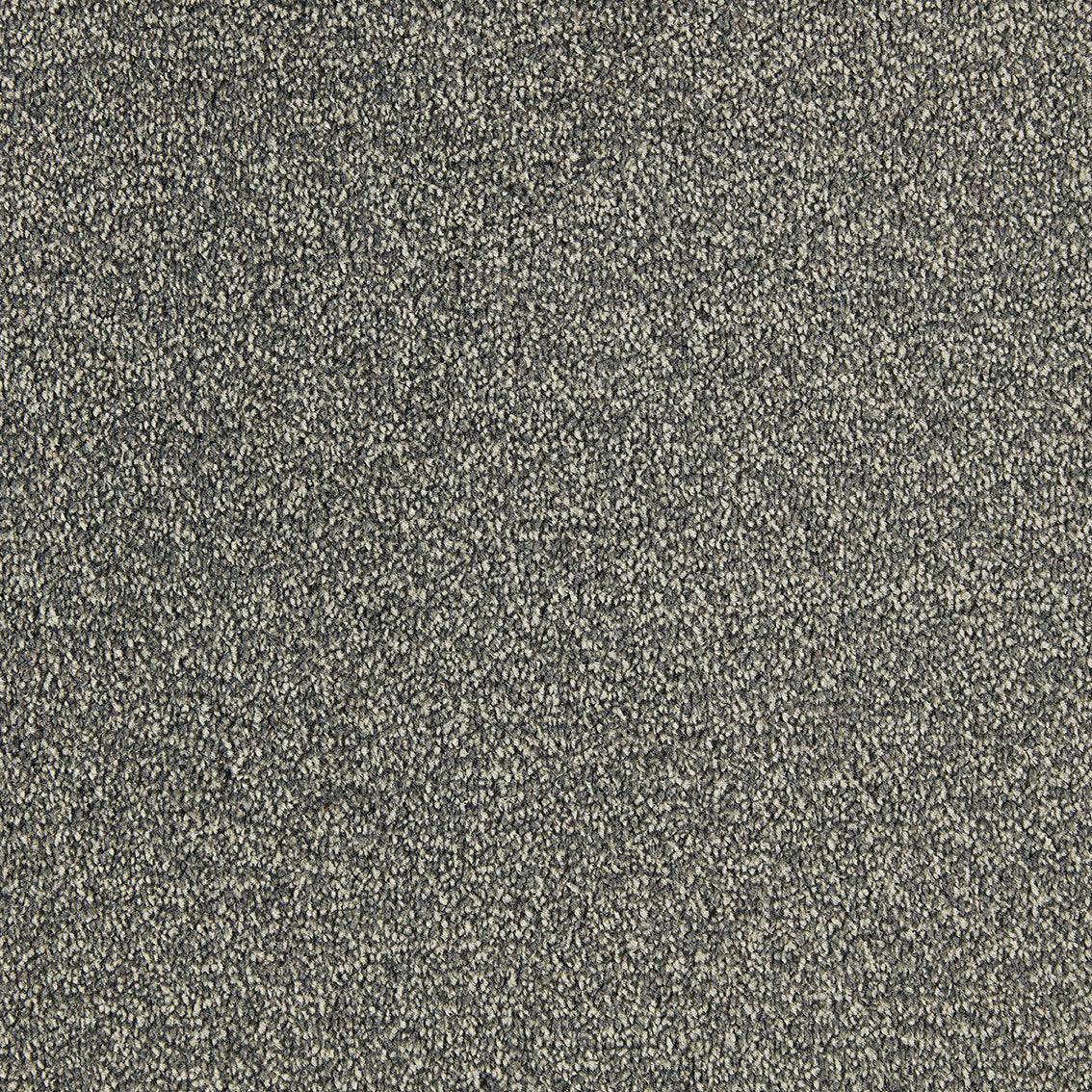 Scala Style Scy 0870 Silver Carpet