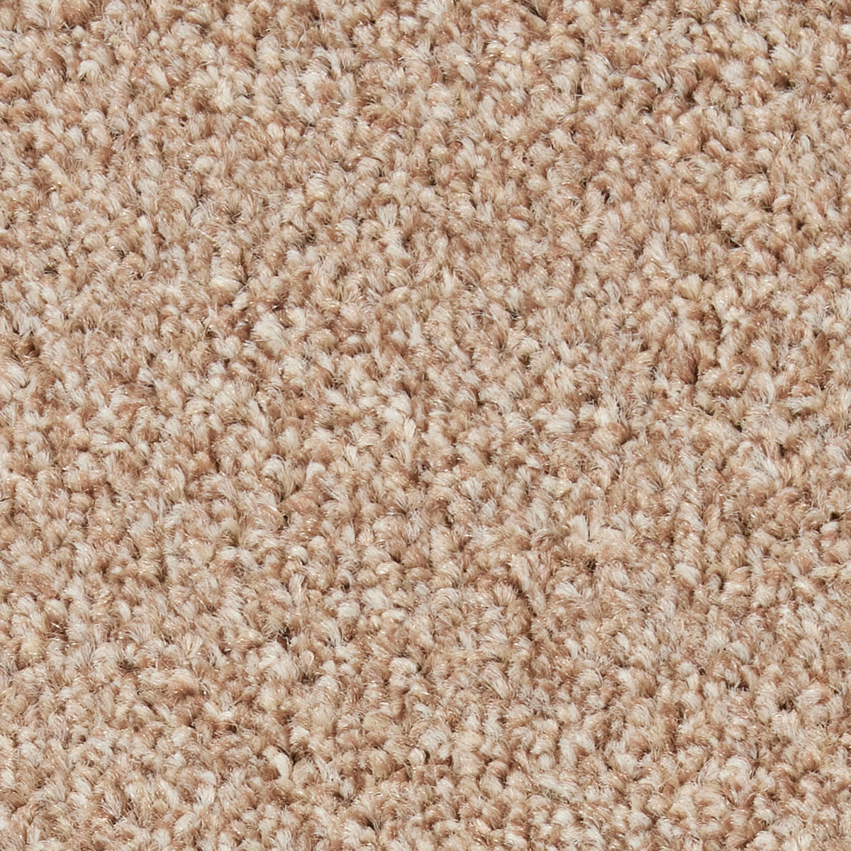Pembridge Heathers Camel 0260 Carpet