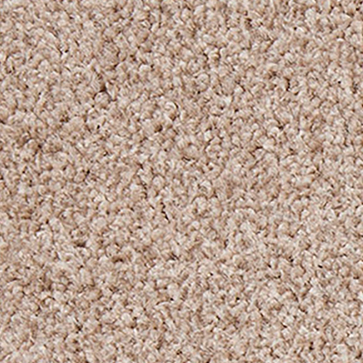Pembridge Heathers Truffle 0421 Carpet