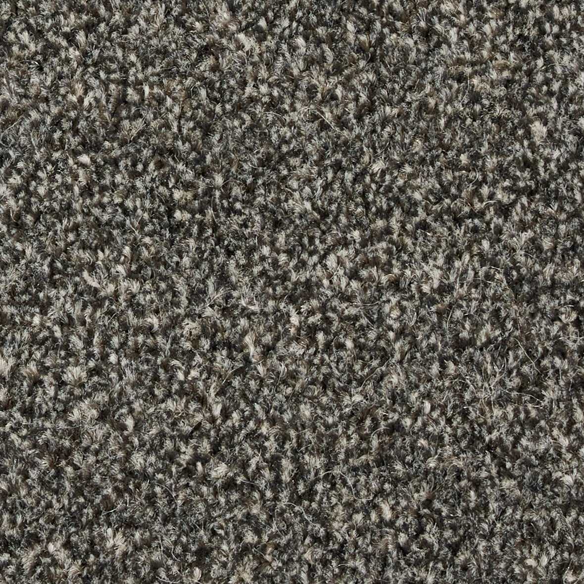 Fairfield Creations Charcoal 0810 Carpet