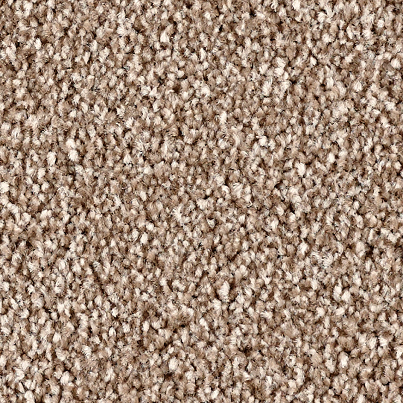 Heather Twist Supreme Walnut 0281 Carpet