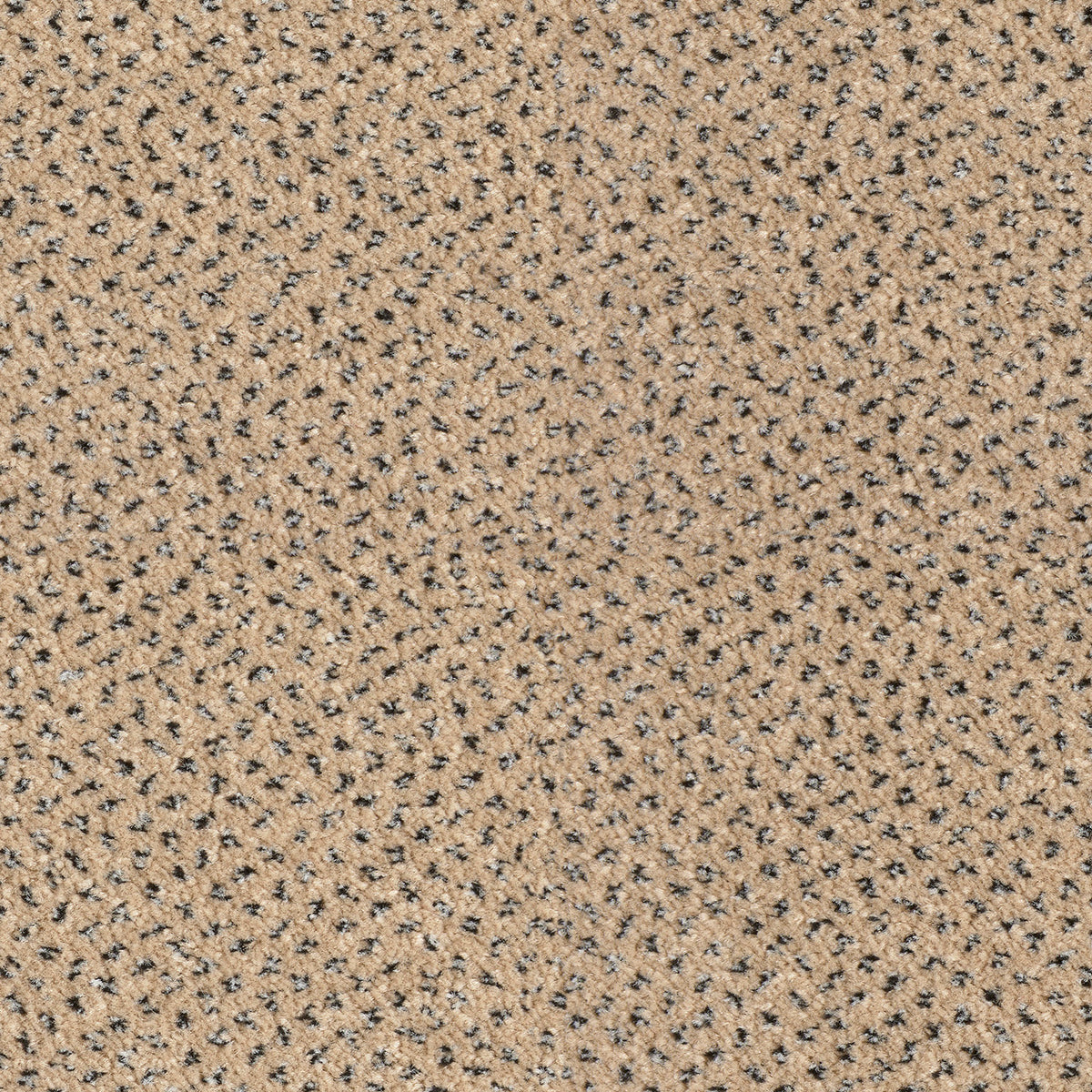 Scala Combinations Impervious Endurance Sei 0250 Magnolia Carpet