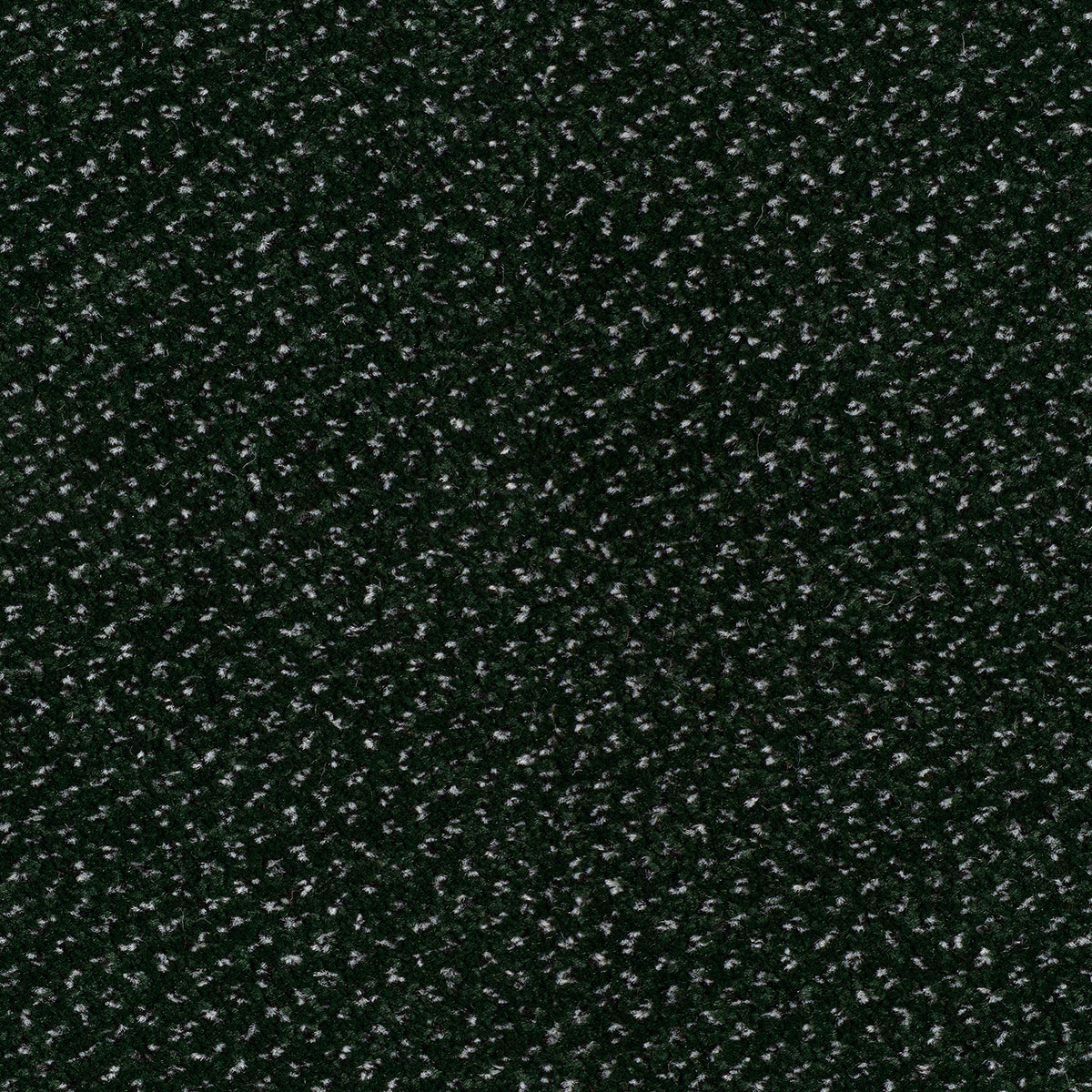 Scala Combinations Impervious Endurance Sei 0600 Pine Carpet