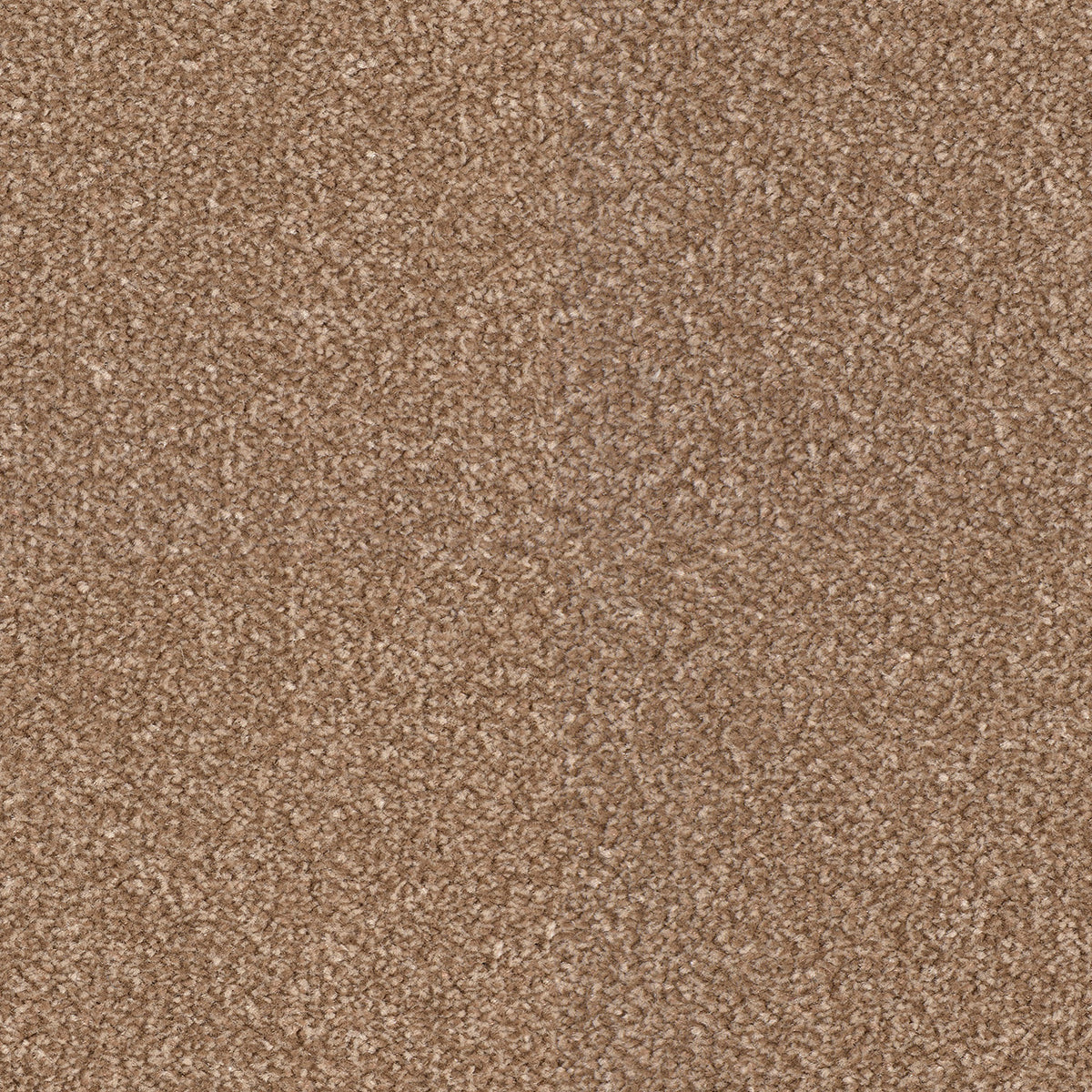 Scala Combinations Impervious Twist Sti 0281 Havanna Carpet