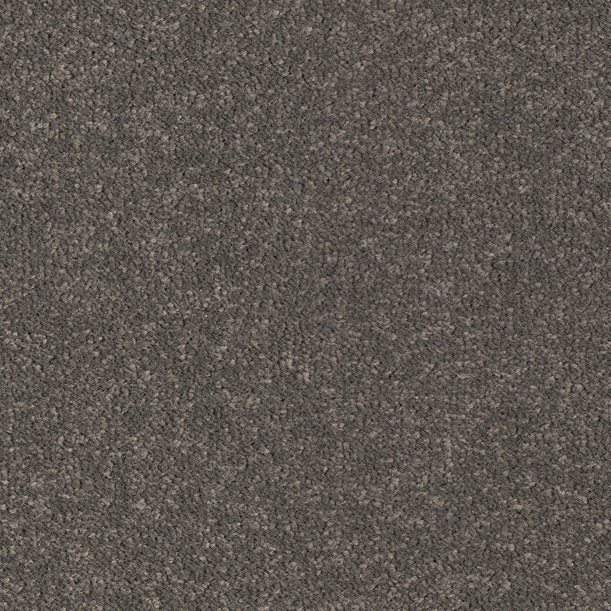 Scala Combinations SB Twist Srw 0820 Slate Carpet