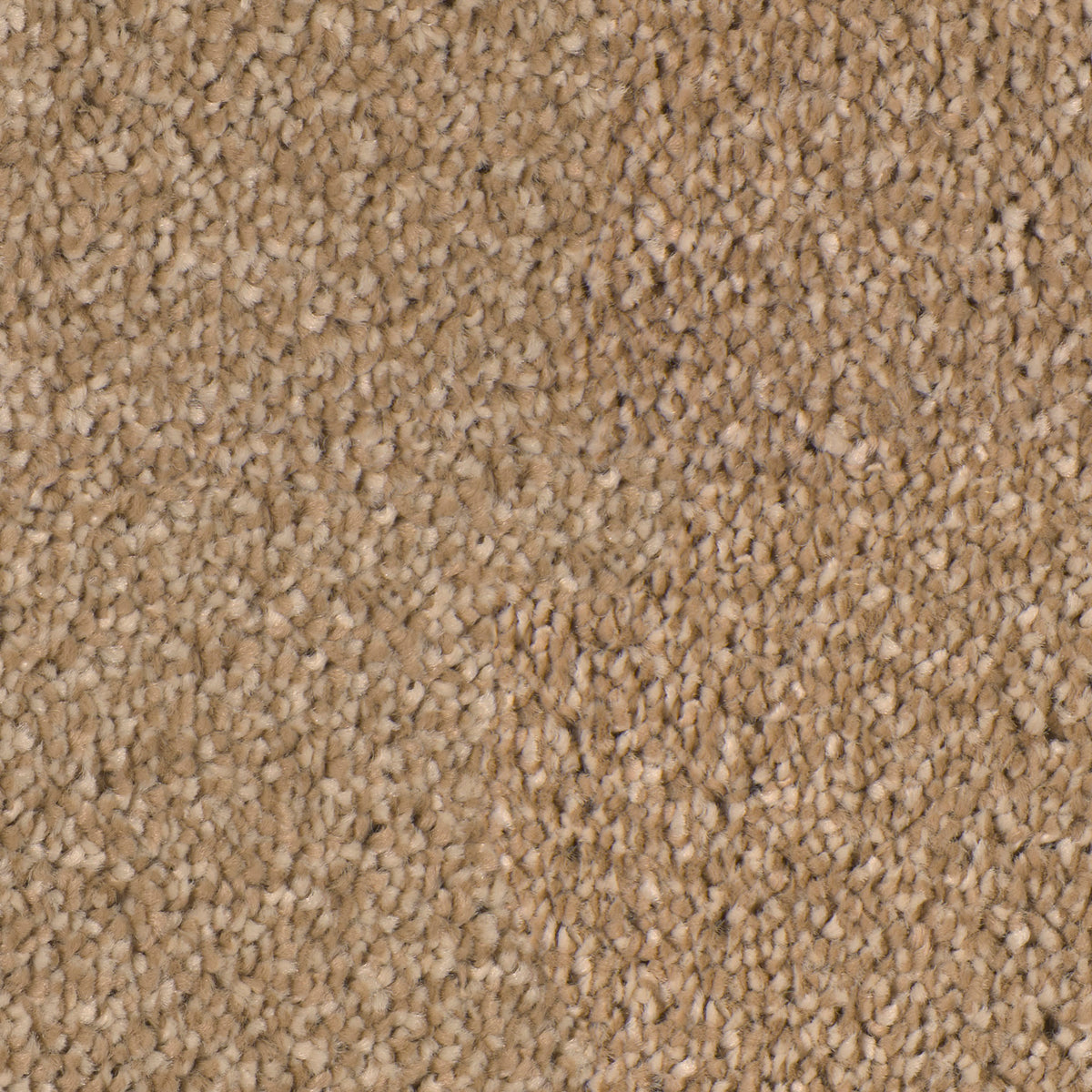Desire Flax 0231 Carpet