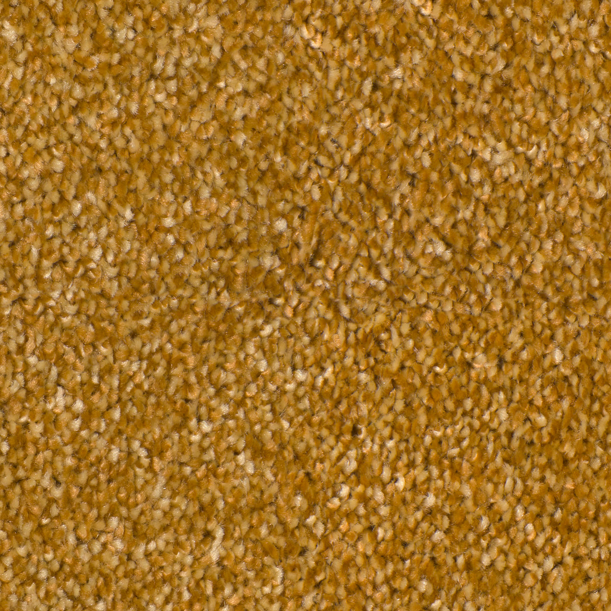 Desire Gold 0370 Carpet