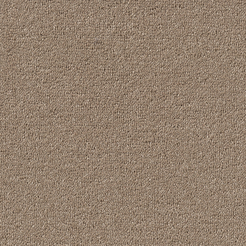 Fairfield Design Serene Almond FDS0270 Carpet