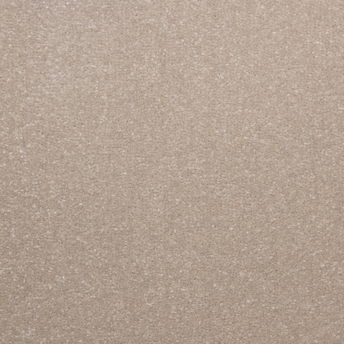 Lazio Sea Shell 1582 Carpet