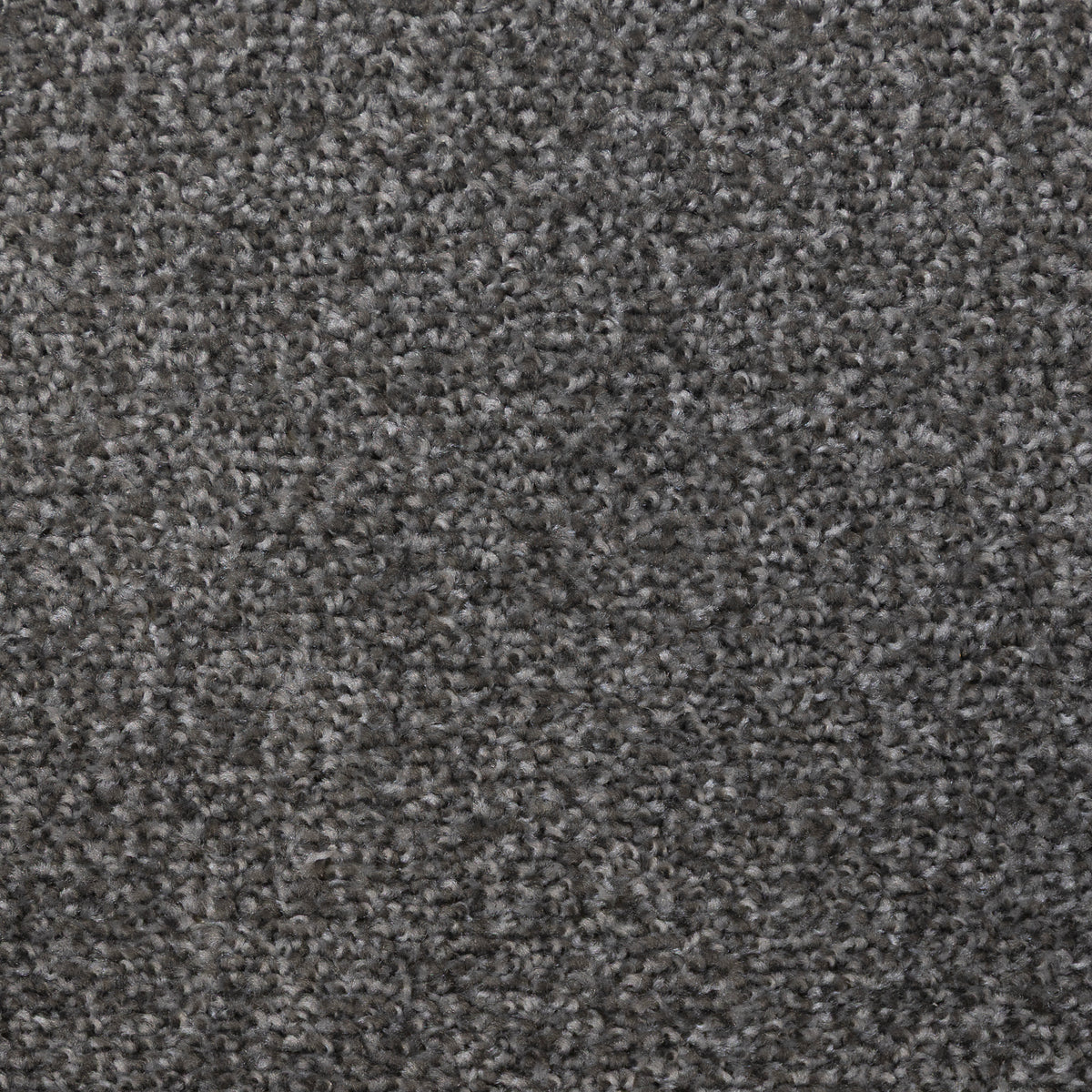 Maestro Chalice 1958 Carpet