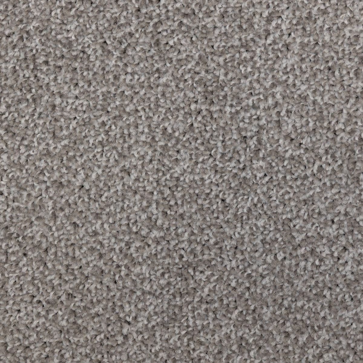 Maestro Fb Fossil 1957 Carpet