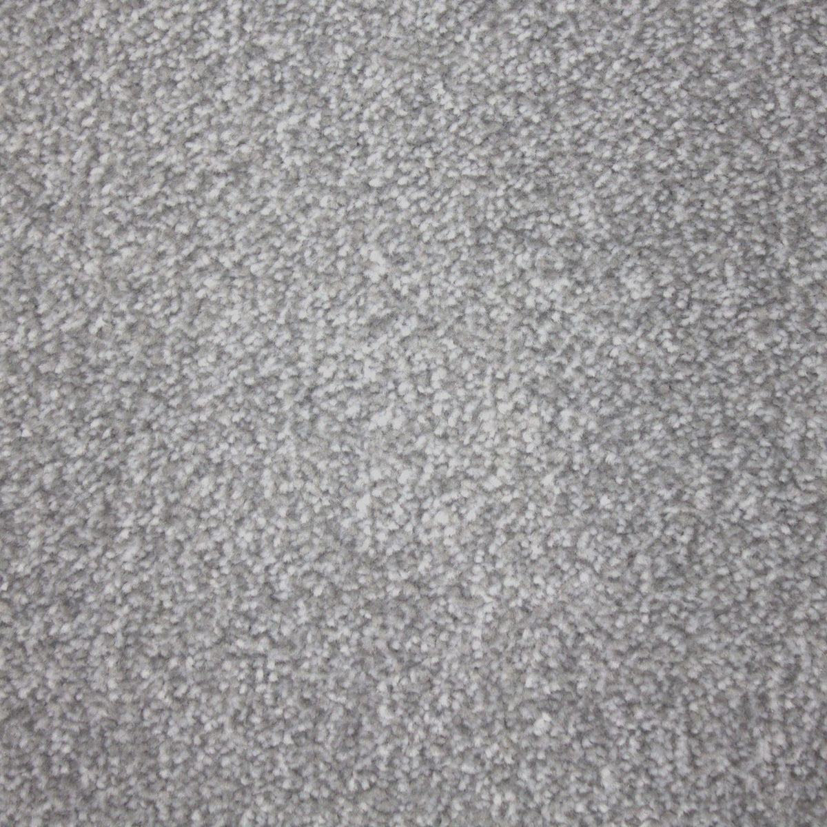 Hathaway Braga Medina Silver Carpet