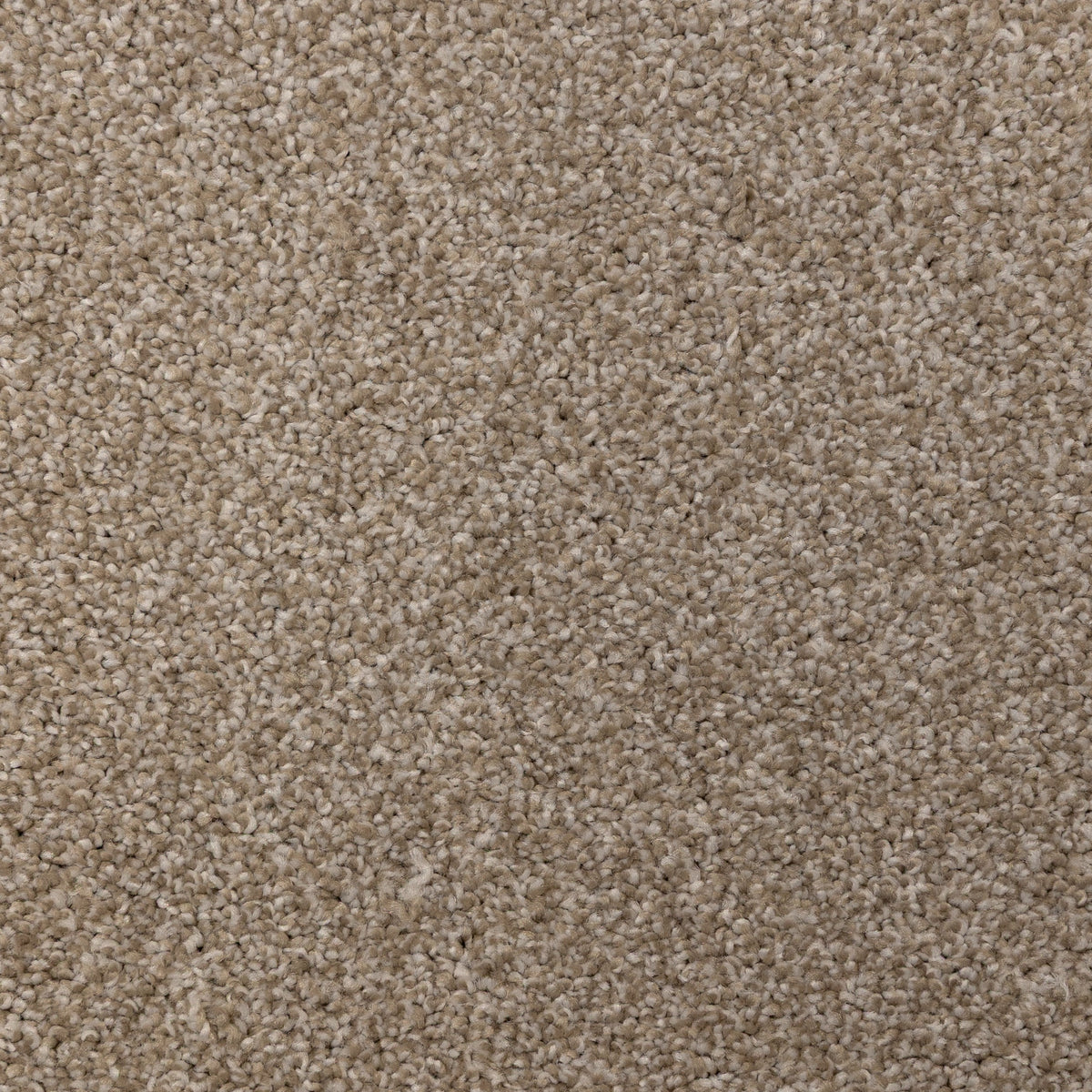 Nightingale Stone Carpet