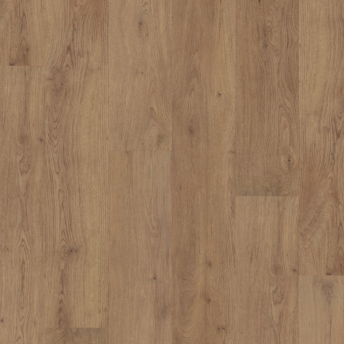 Fusion Line Catherdral Oak 1066 Luxury Vinyl Flooring