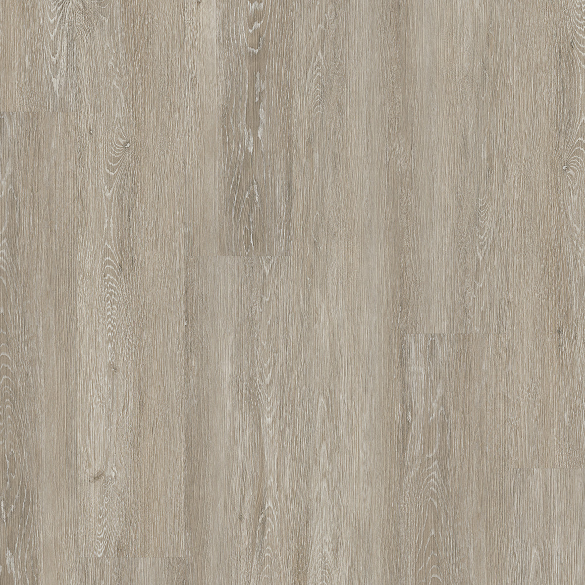 Concept Line Bay Oak 3182 Luxury Vinyl Flooring