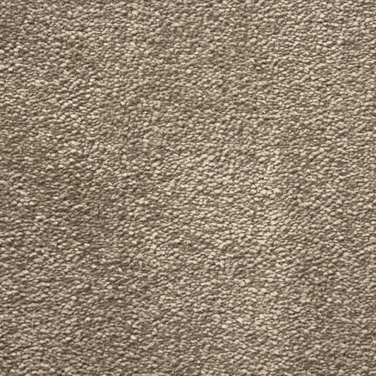 Hathaway Harmony Pashmina Carpet