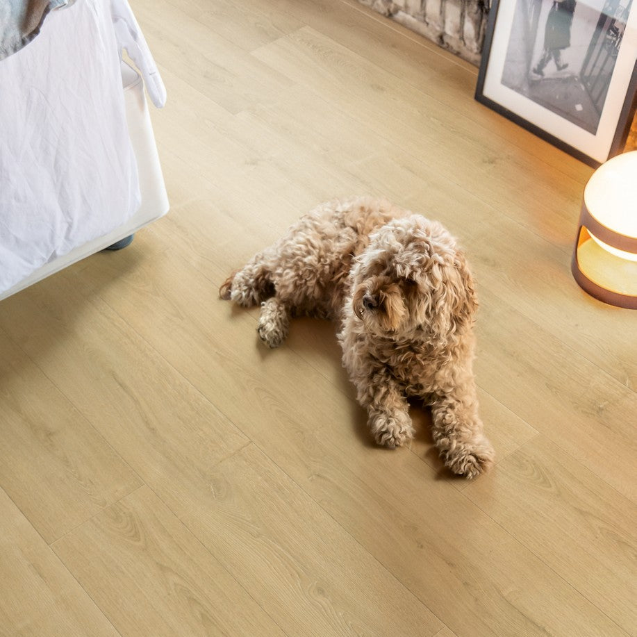Quickstep CAPTURE BRUSHED OAK NATURAL SIG4763 9mm Laminate Flooring