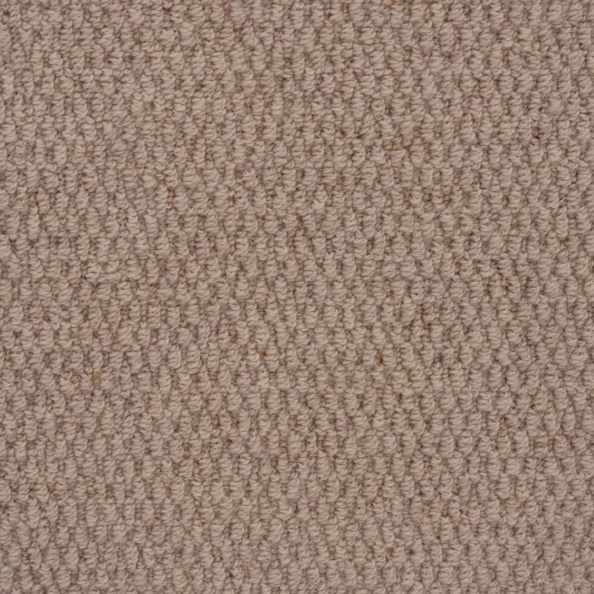 Sheringham Eggshell 61 Carpet