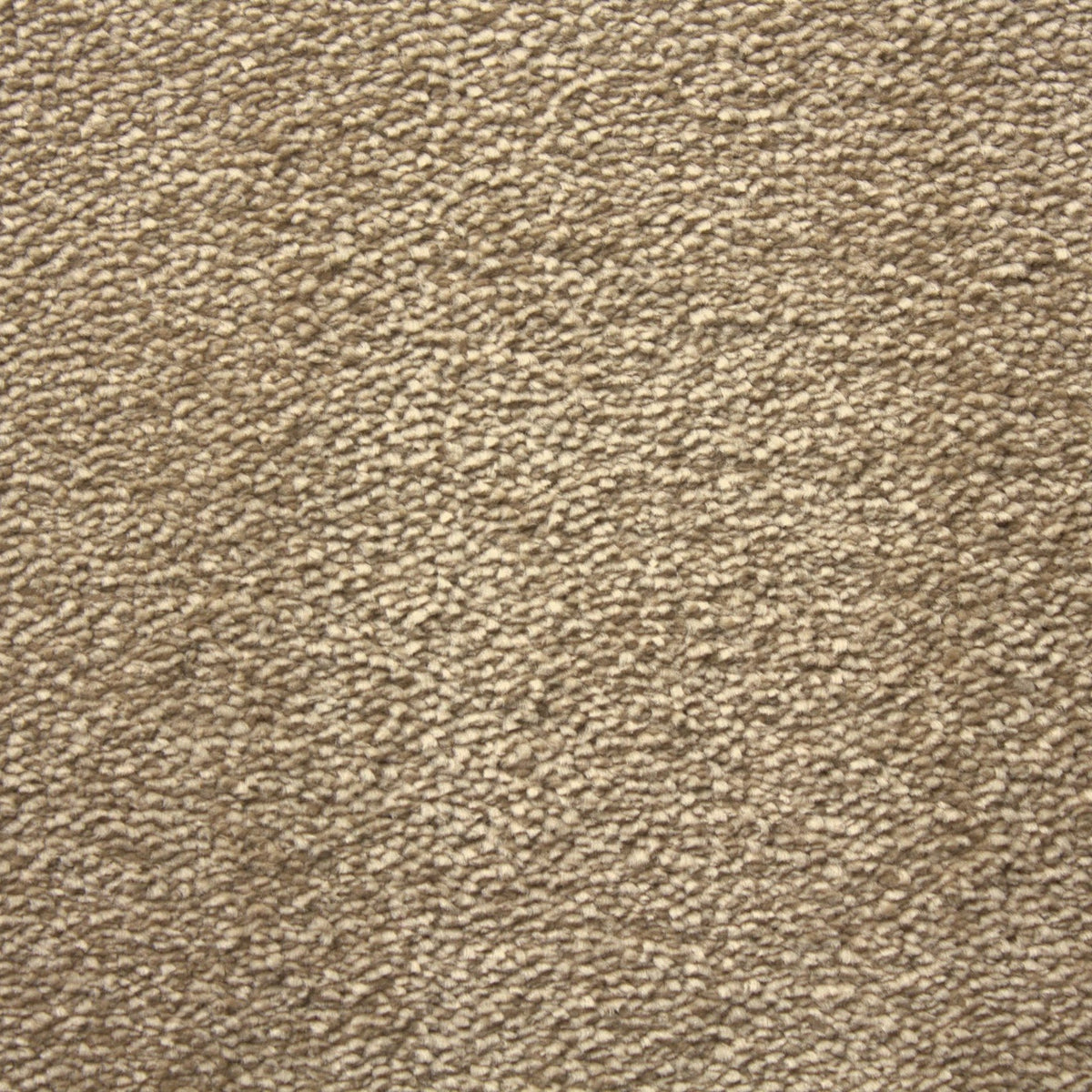Hathaway Harmony Southern Comfort Carpet