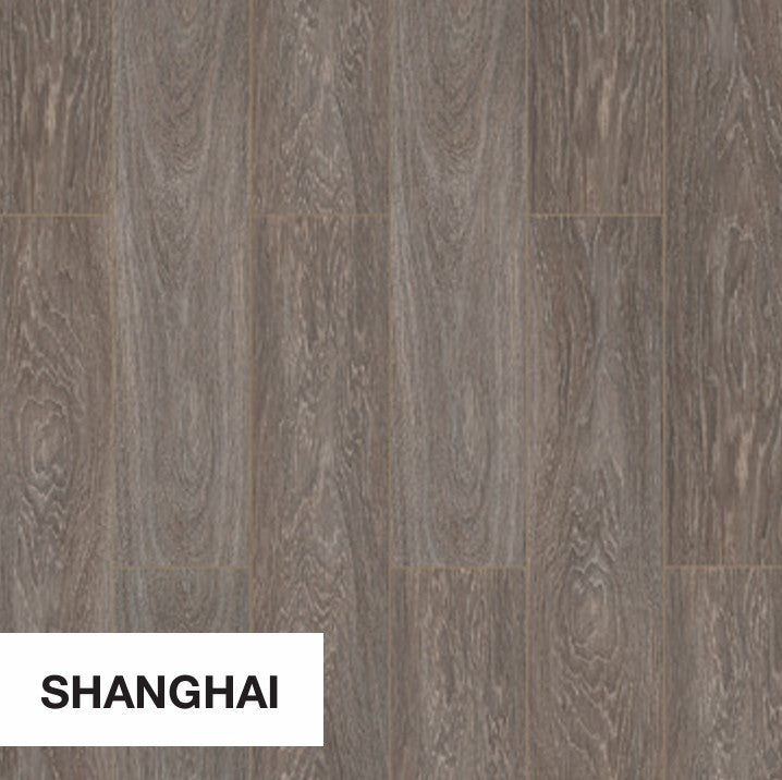 Stepclick XL Shanghai