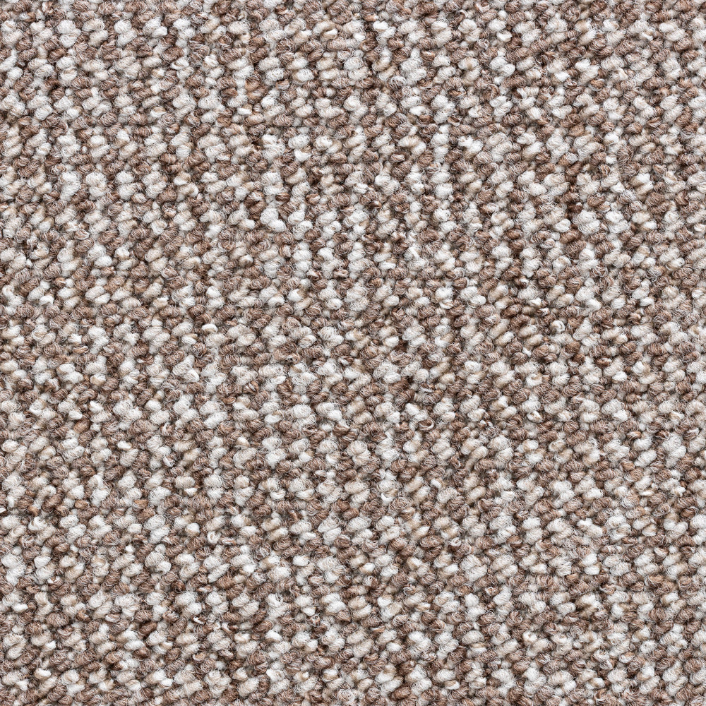 Conan Felt Beaver 8316 Carpet