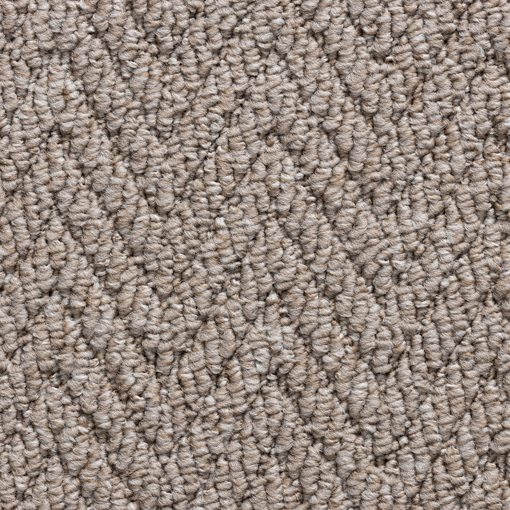 Havana Taupe 5116 Carpet