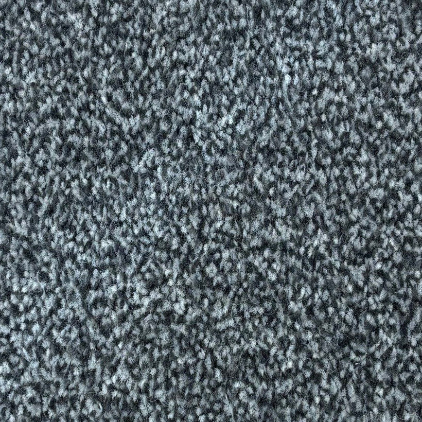 Adoration Saxony SB Platinum Carpet
