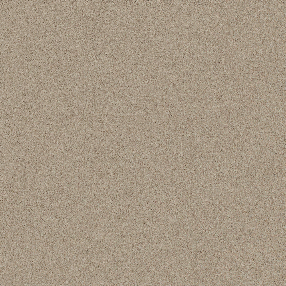 Langham Beige Carpet