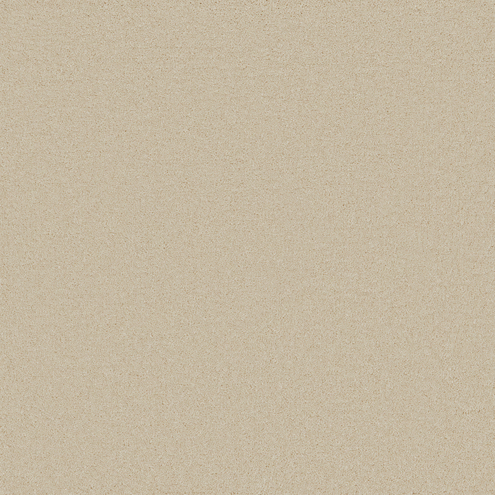 Langham Ivory Carpet