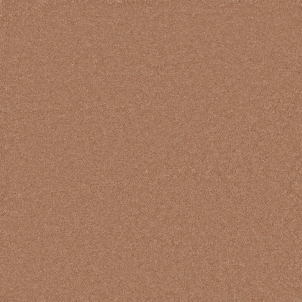 Waldorf Apricot Carpet
