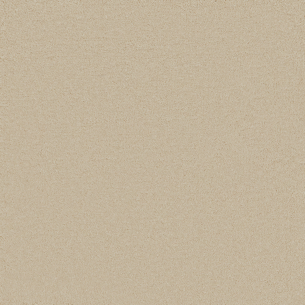 Waldorf Ivory Carpet