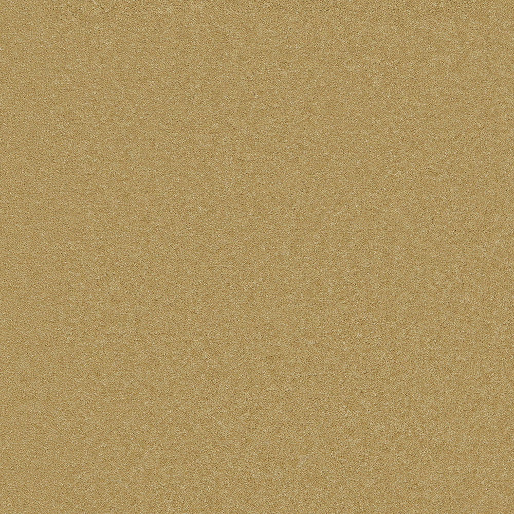Waldorf Old Gold Carpet