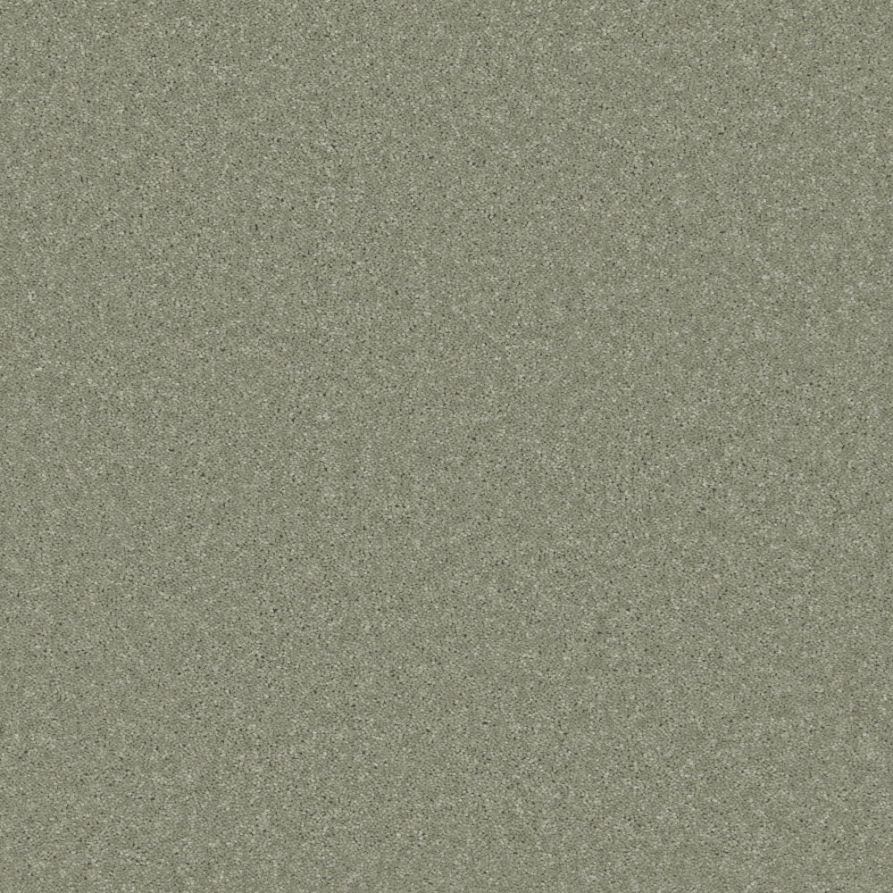 Fine Touch Celadon Carpet