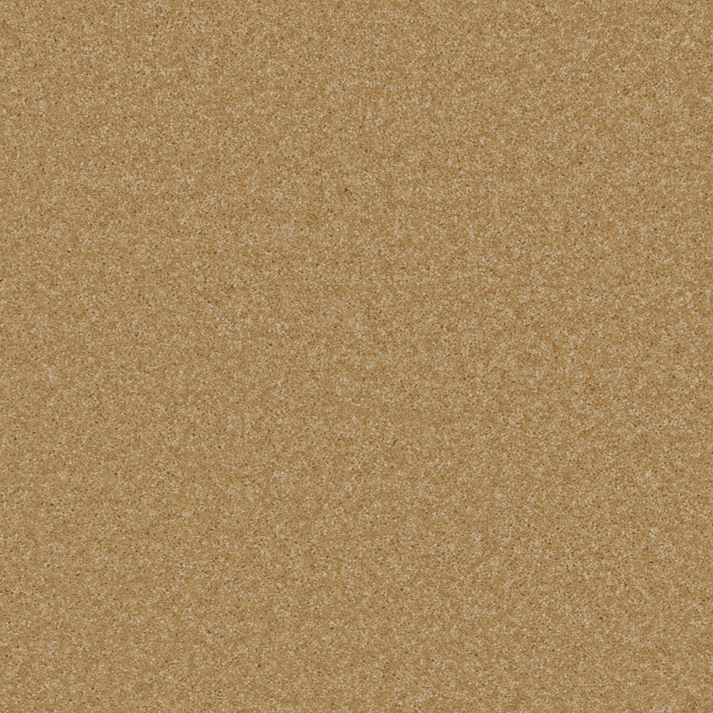 Fine Touch Gold Carpet