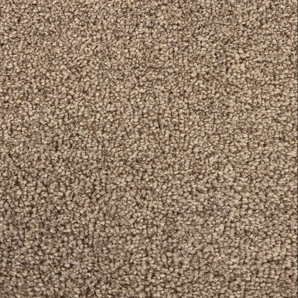 Urbanish-90-Mocha-Tea-Carpet