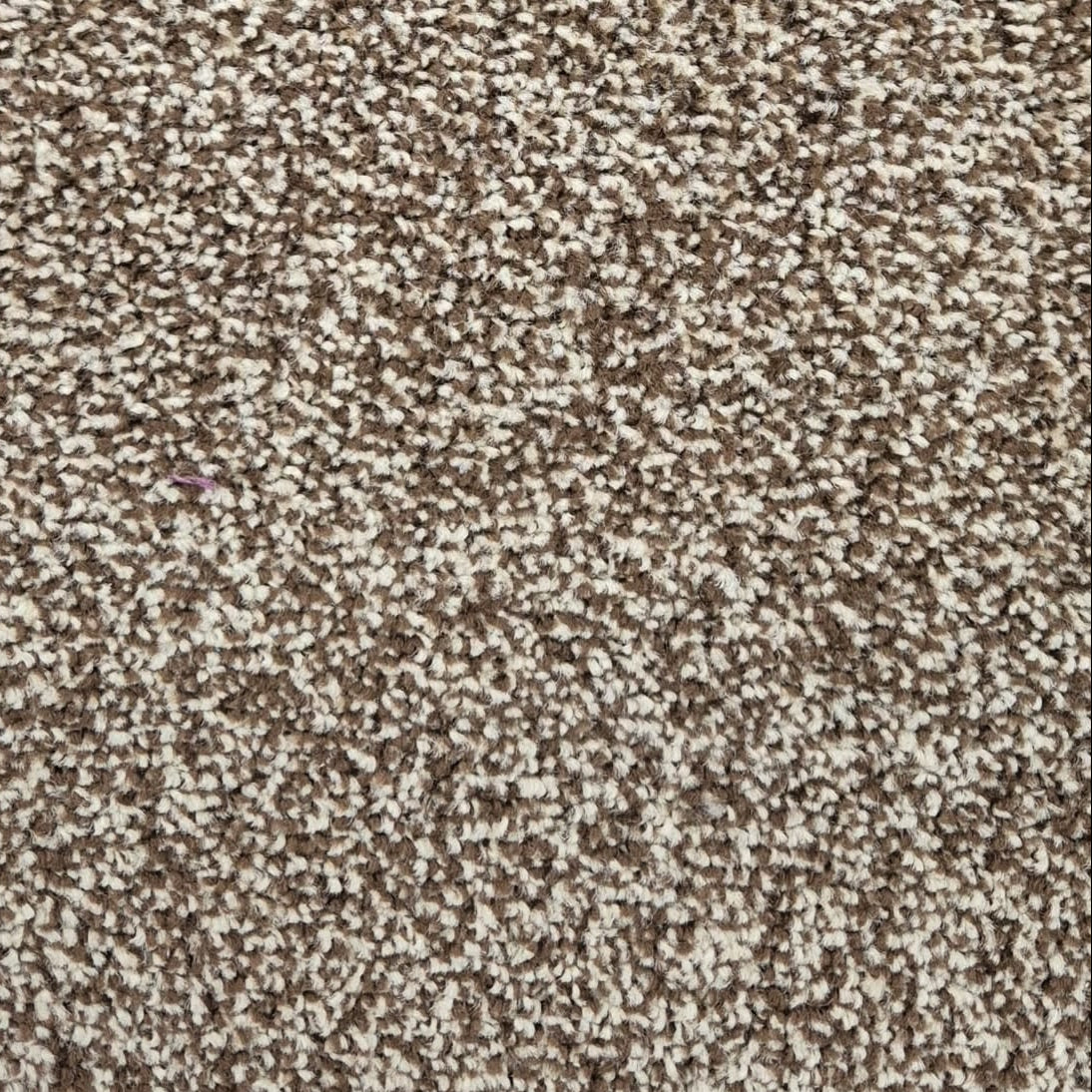 Urbanish-Nutmeg-Carpet