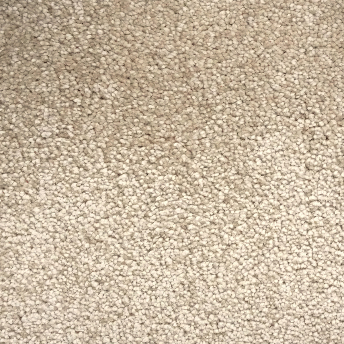 Venus Pebble 4436 Carpet