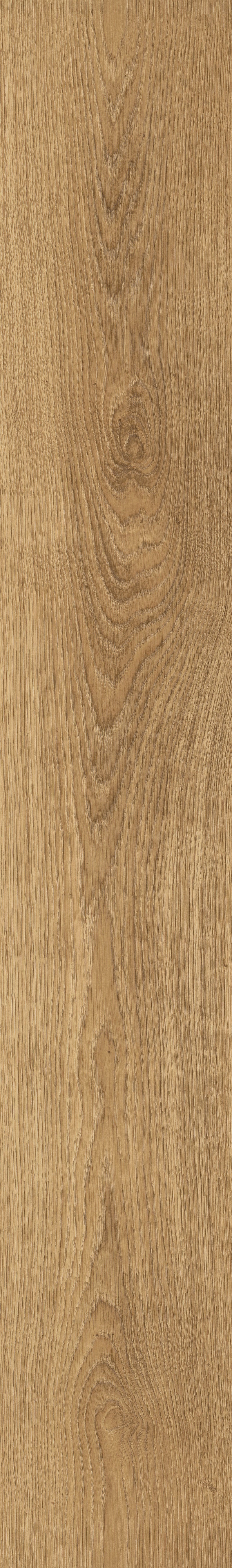 Woodland GLENMORE OAK