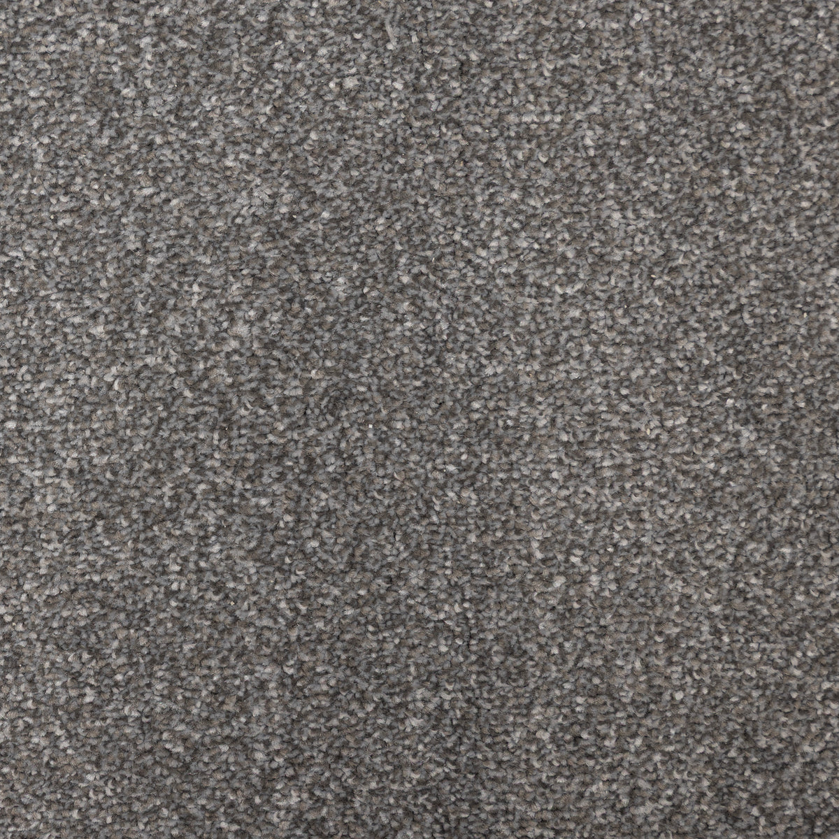 Zadar Steel 6721 Carpet
