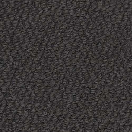 Regatta 2026 Anthracite Carpet