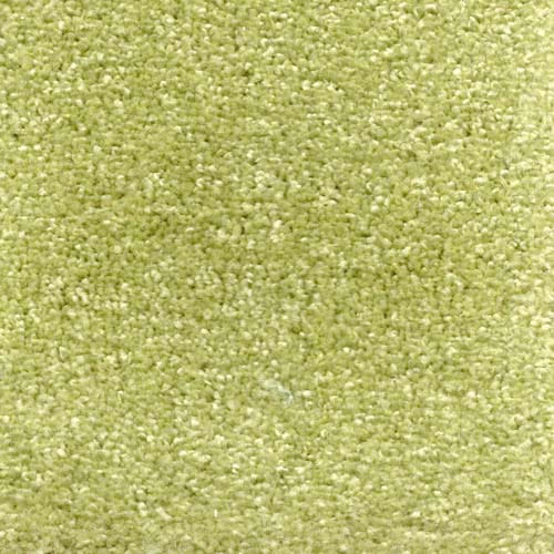 Invicta 2020 Apple Carpet