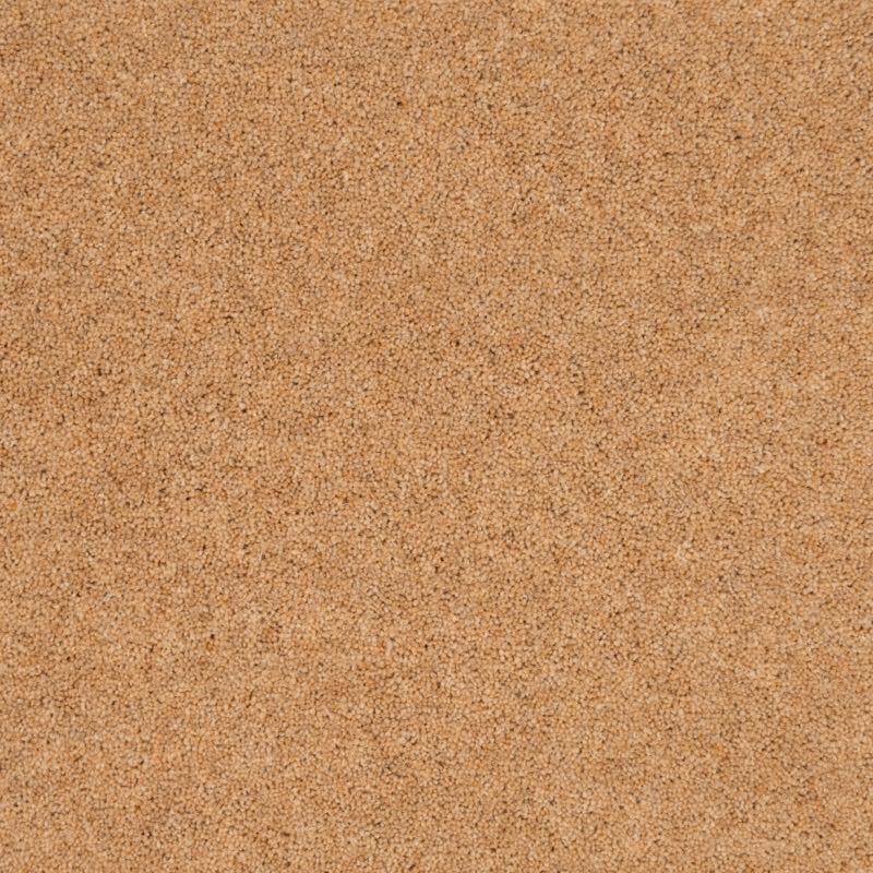 Penthouse Carpets Vermont 60oz Austin Carpet