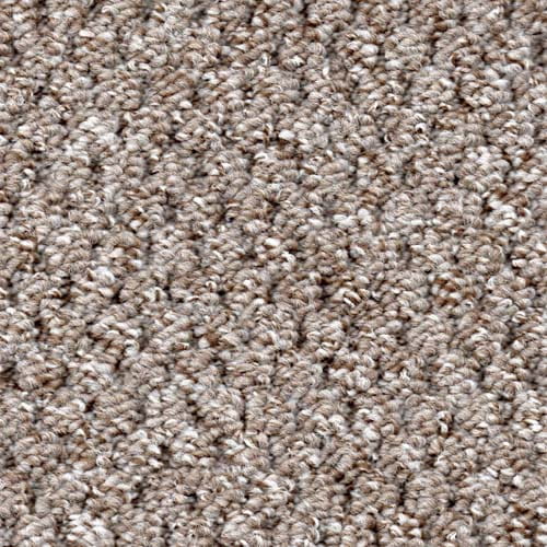 Homestyle Autumn Carpet