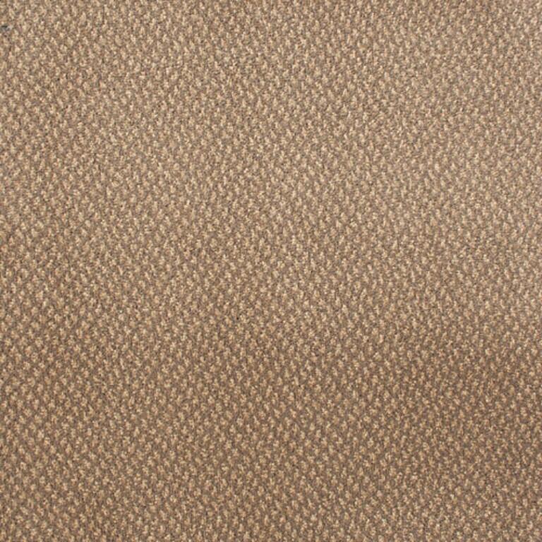 Gradus Floorcoverings Genus & Volnay Beachwood 00245 Carpet