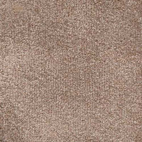 Gamma Beige Carpet