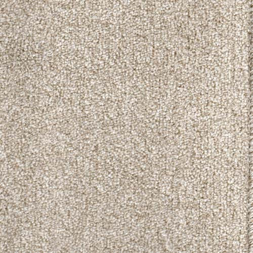 Royal Prestige 2024 Beige Carpet