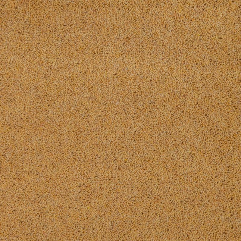 Penthouse Carpets Pentwist Colours 40oz Buttercup Carpet