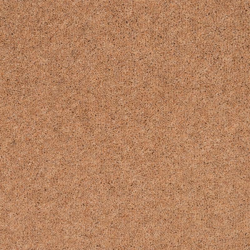 Penthouse Carpets Pentwist Colours 40oz Naturals Calico Carpet