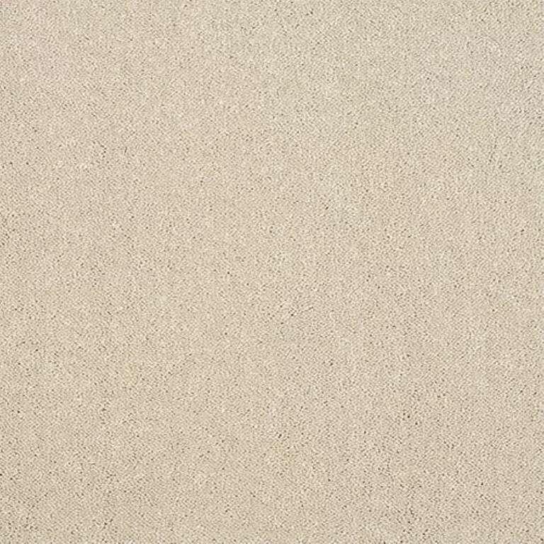 Abingdon Stainfree Captivation 14 Turtle Dove Carpet