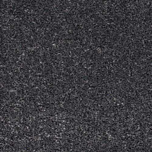 Long Island Carbon Carpet